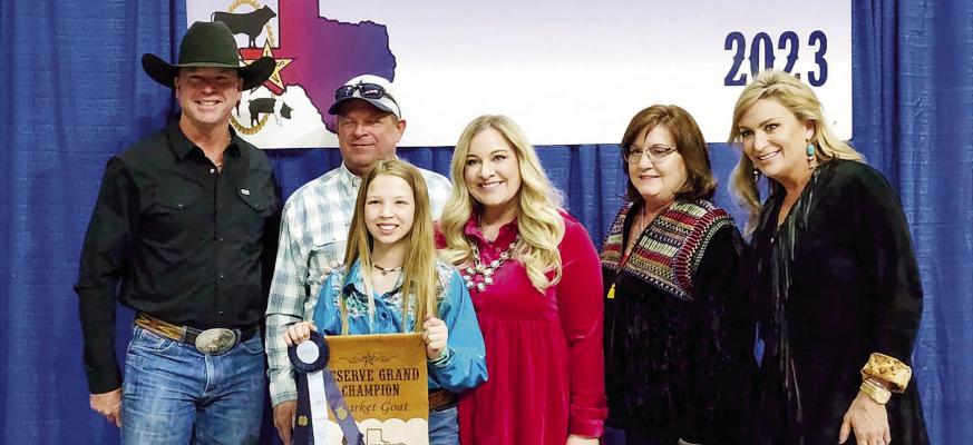 Reserve Grand Champion goat