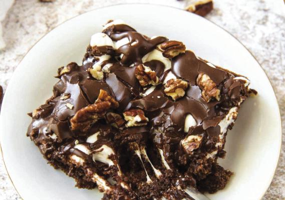 Mississippi Mud Cake