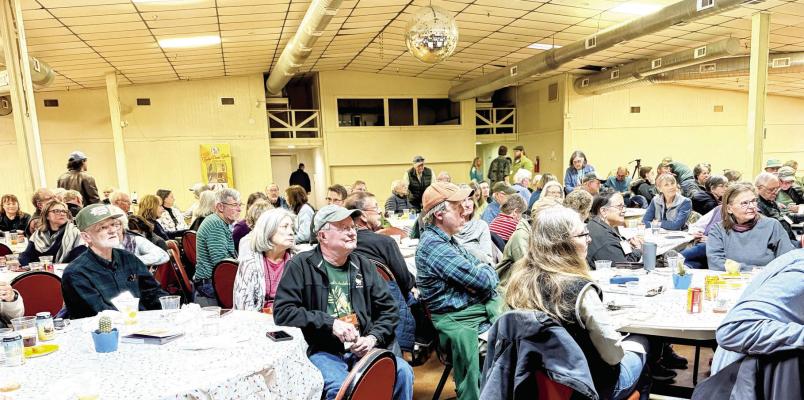 Members of the Texas Ornithology Society met this past weekend in Alpine at the Alpine Civic Center and spent time listening to presentations and traveling around the Big Bend catching sight of our multitude of bird species. Photo by Matt Walter