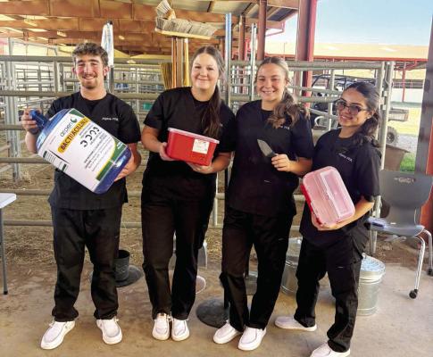 Alpine FFA members Emerson Walker, Kaysen Hardaway, Kacy Hawkins, and Mia Jimenez competed in the Senior Skills event this week, earning first-place out of six teams and advancing to the Area competition. Courtesy photo