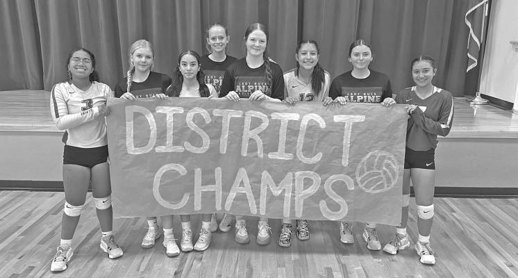 The AHS freshman Lady Bucks volleyball team took the District 4-3A championship title with an undefeated record of 7-0 this season. Courtesy photo