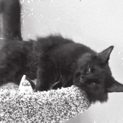 PET OF THE WEEK