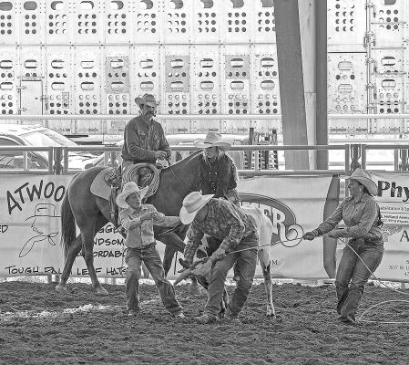 Participants in the youth portion of this past weekend’s Big Bend Ranch Rodeo attempt to control their steer for the steer riding event while the arena announcer looks on. Photo by Kara Gerbert