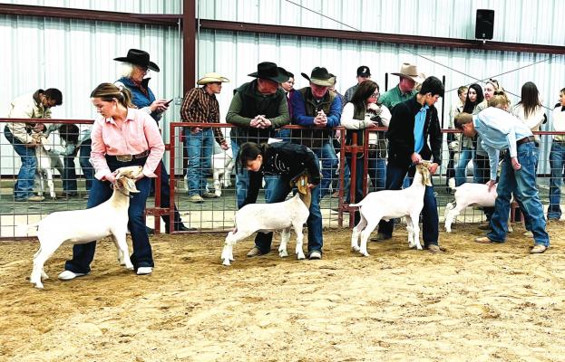 Lining up for the judge