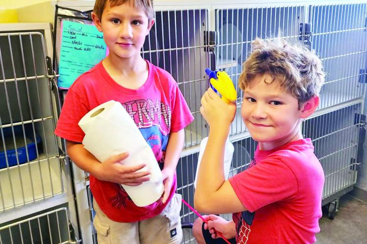 These young volunteers are what helps keep everything in tip-top shape at the Alpine Animal Shelter. River and Roam Rousselow are being good stewards by helping out with keeping the homeless cat cages clean. Photo by Alpine Animal Services