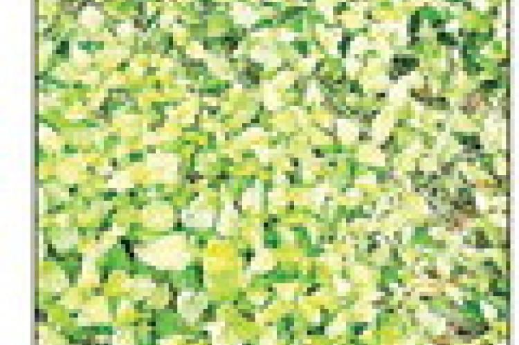 2, 4-D will eliminate invasive horseherb