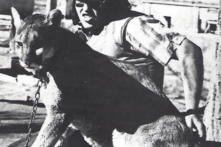 Nelson Lenord Lethco, Jr.