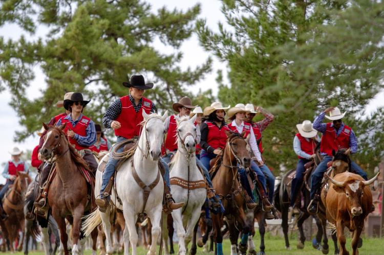 The Sul Ross Rodeo Team held its annual campus cattle drive on Tuesday evening on the mall at Sul Ross State University. The Sul Ross tradition is the only one of its kind. Photo by Kara Gerbert